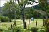 Jardin Botanico (21)